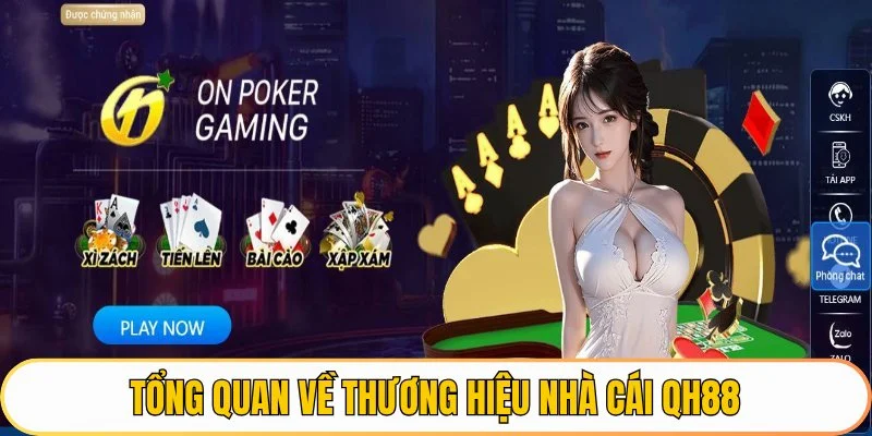 Tổng quan về thương hiệu nhà cái QH8